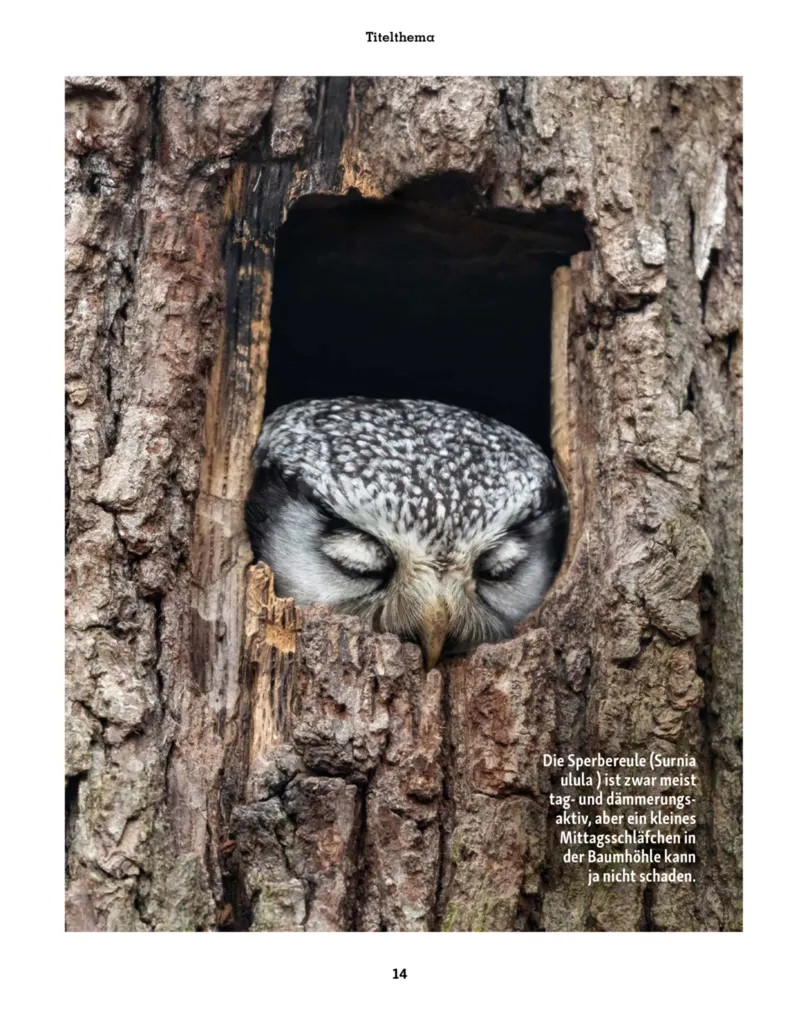 Fressnapf Prospekt vom 01.11.2025, Seite 14