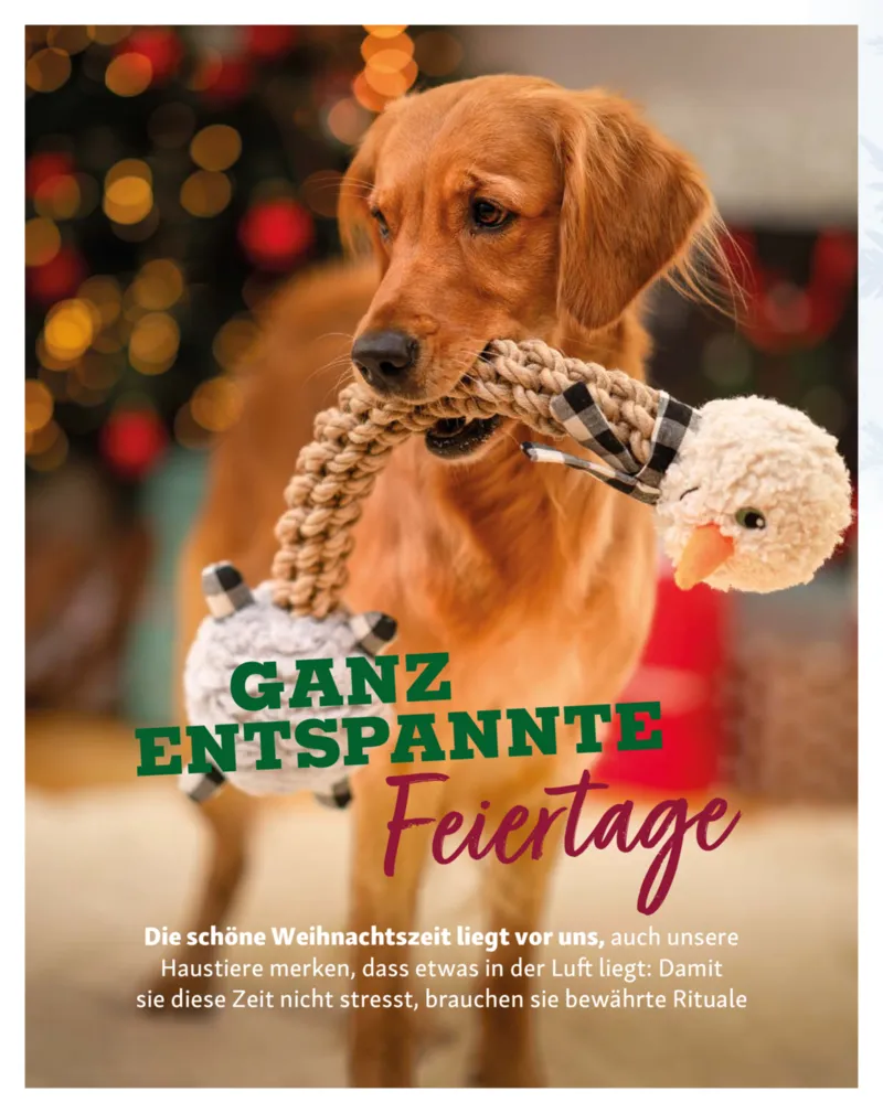 Fressnapf Prospekt vom 01.11.2025, Seite 16