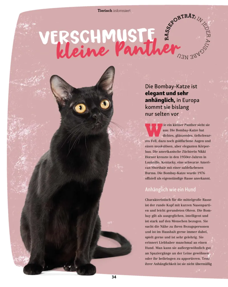 Fressnapf Prospekt vom 01.11.2025, Seite 34