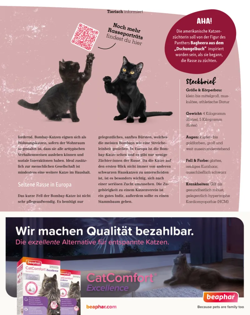 Fressnapf Prospekt vom 01.11.2025, Seite 35