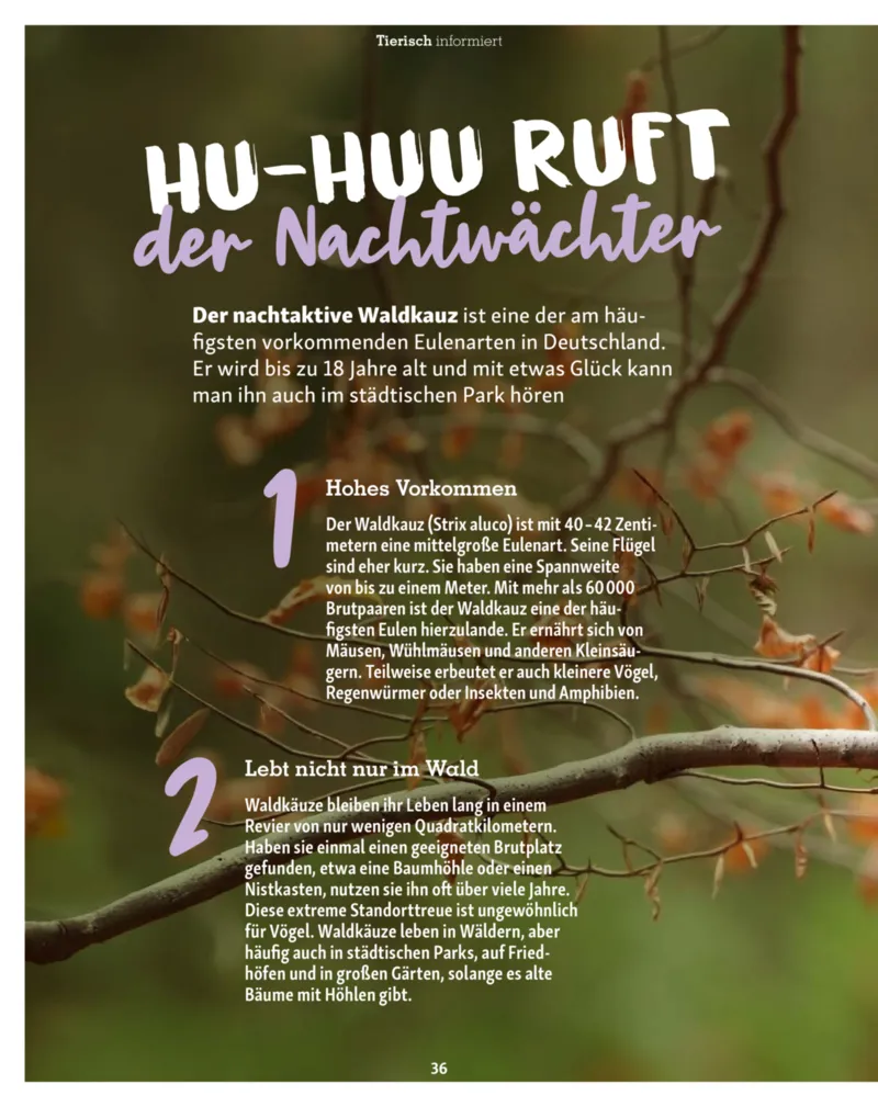 Fressnapf Prospekt vom 01.11.2025, Seite 36