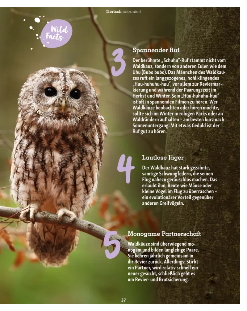 Fressnapf Prospekt vom 01.11.2025, Seite 37