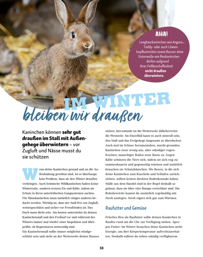 Fressnapf Prospekt vom 01.11.2025, Seite 38