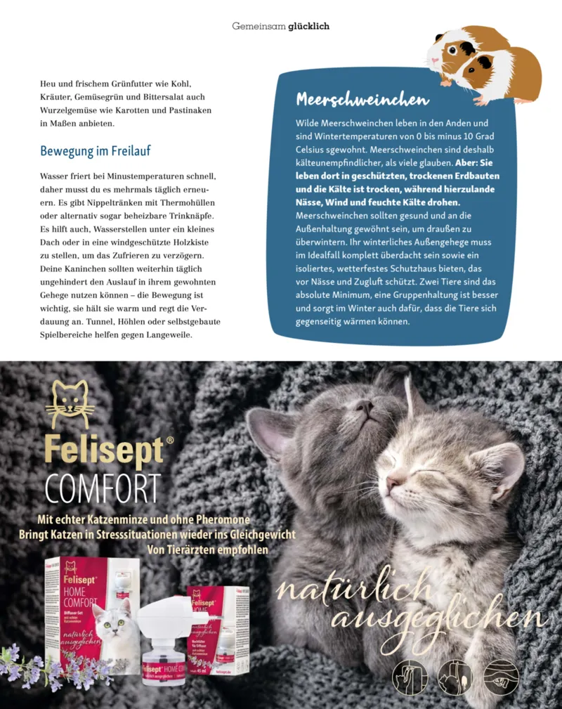 Fressnapf Prospekt vom 01.11.2025, Seite 39