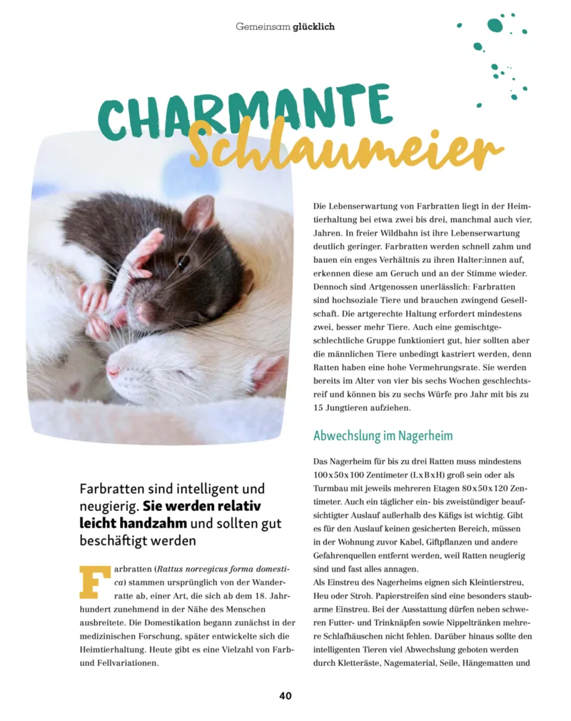 Fressnapf Prospekt vom 01.11.2025, Seite 40