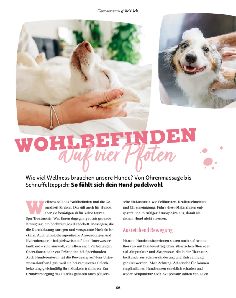 Fressnapf Prospekt vom 01.11.2025, Seite 46