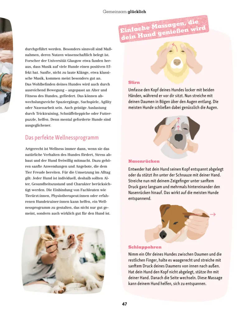 Fressnapf Prospekt vom 01.11.2025, Seite 47