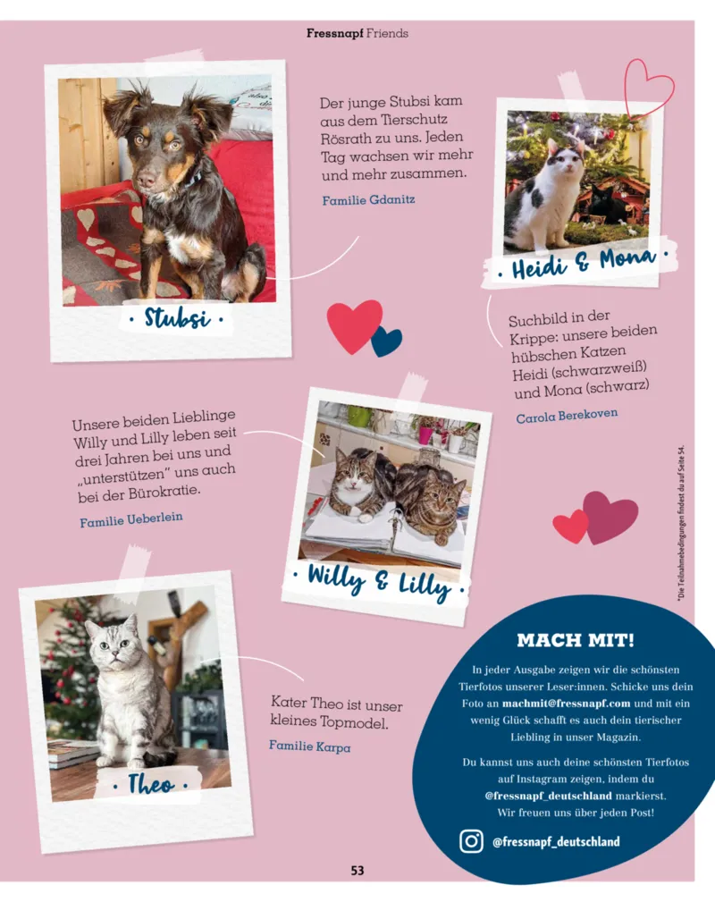 Fressnapf Prospekt vom 01.11.2025, Seite 53