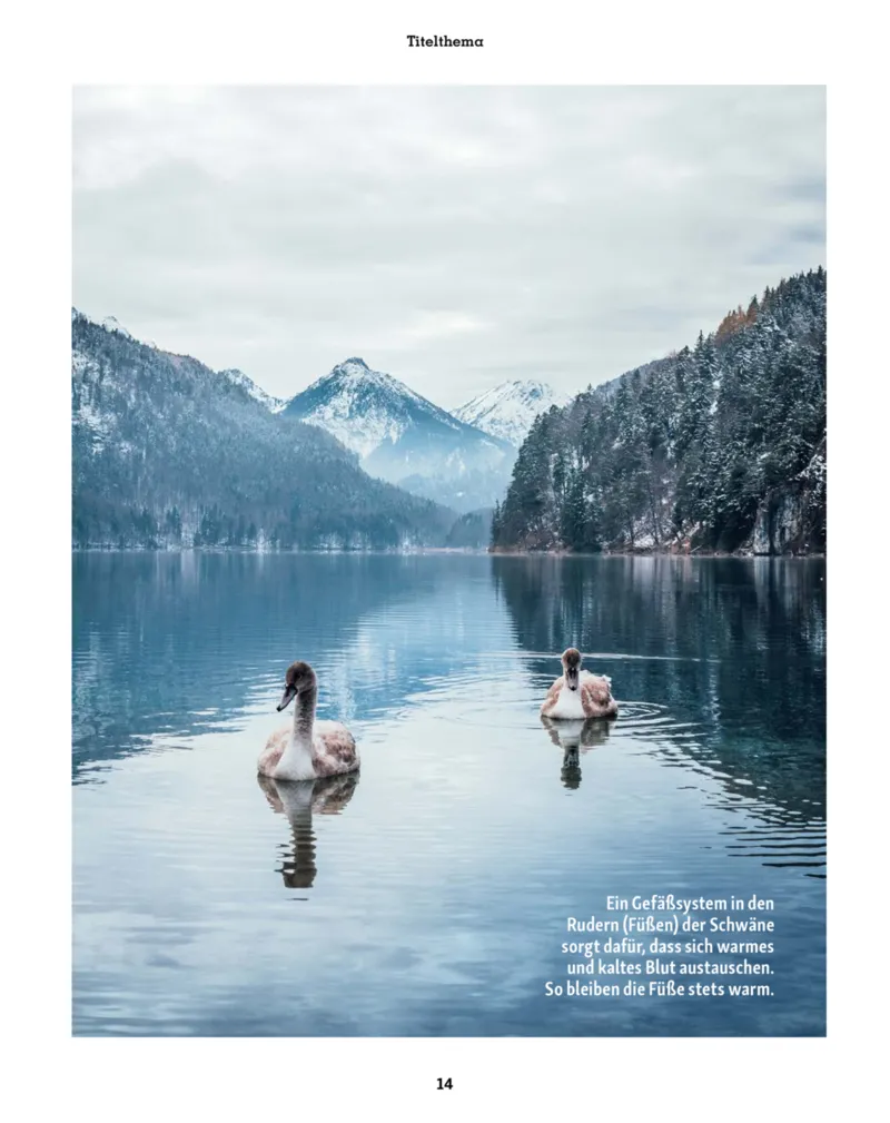 Fressnapf Prospekt vom 01.01.2026, Seite 14