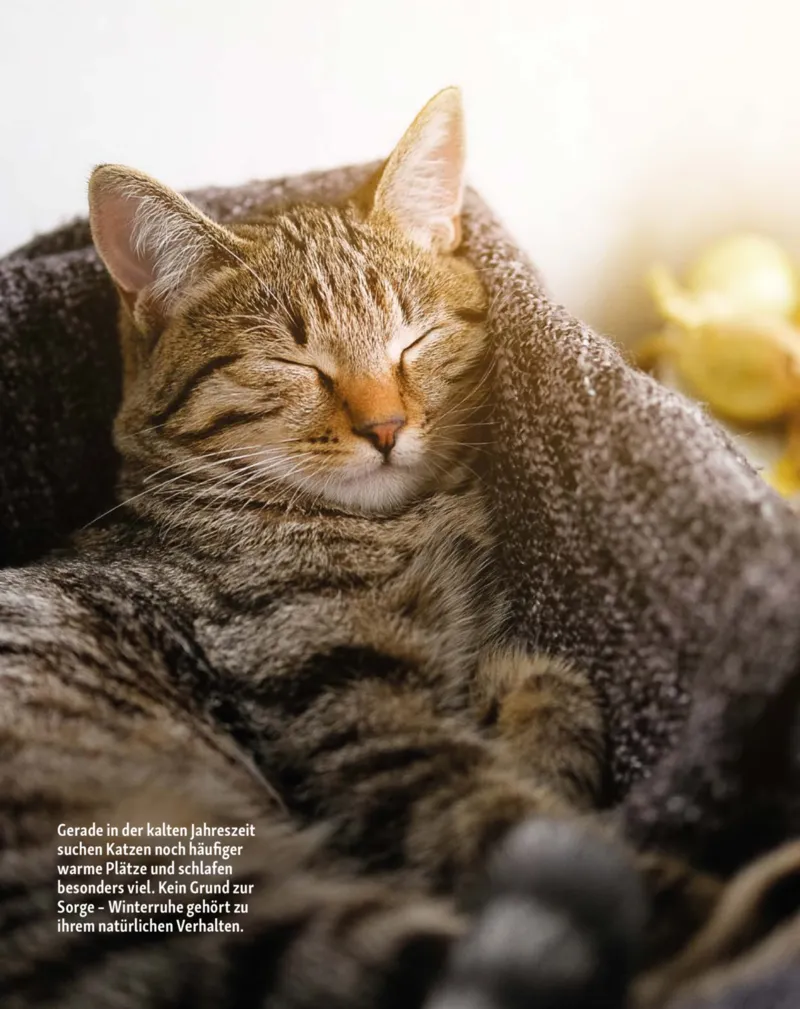 Fressnapf Prospekt vom 01.01.2026, Seite 15