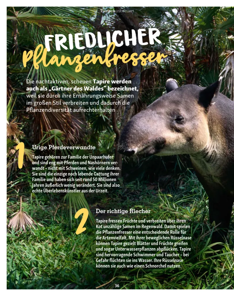 Fressnapf Prospekt vom 01.01.2026, Seite 36