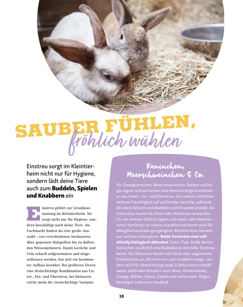 Fressnapf Prospekt vom 01.01.2026, Seite 38