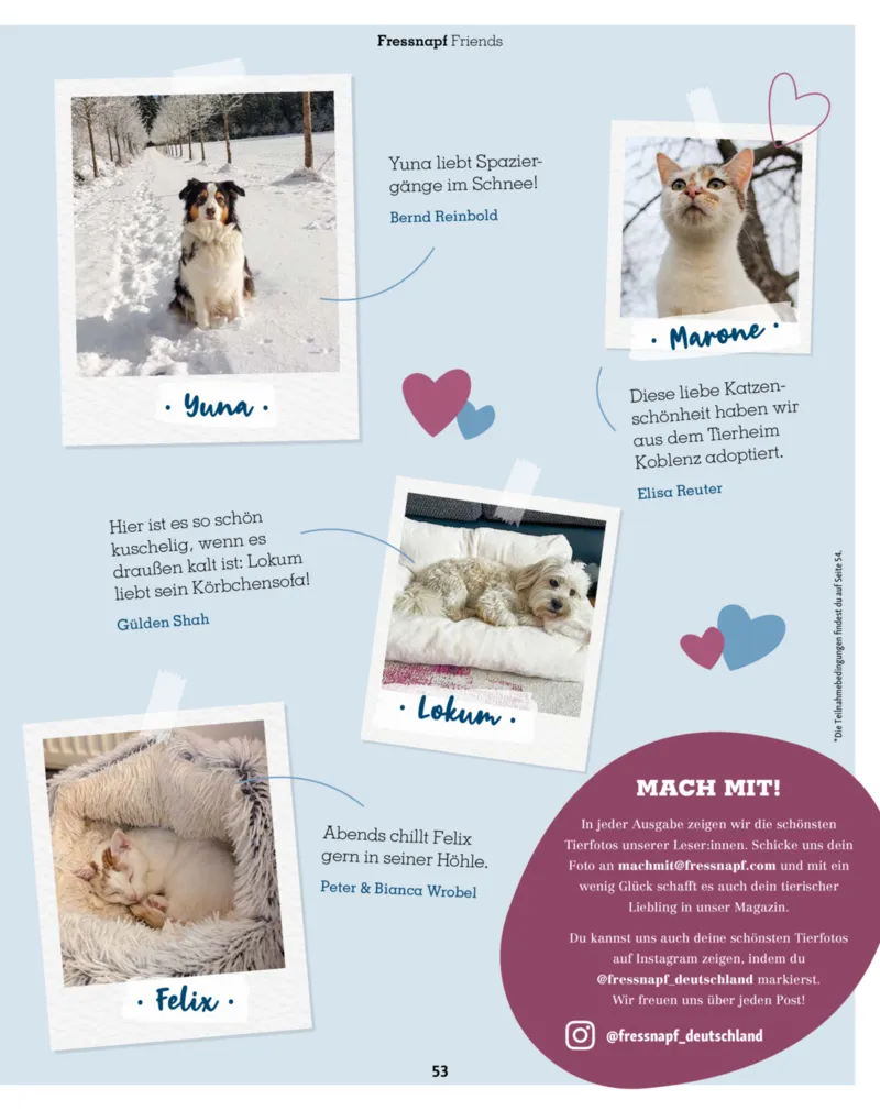 Fressnapf Prospekt vom 01.01.2026, Seite 53