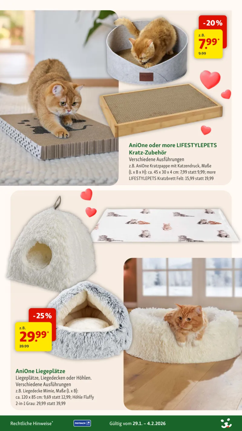 Fressnapf Prospekt vom 29.01.2026, Seite 19