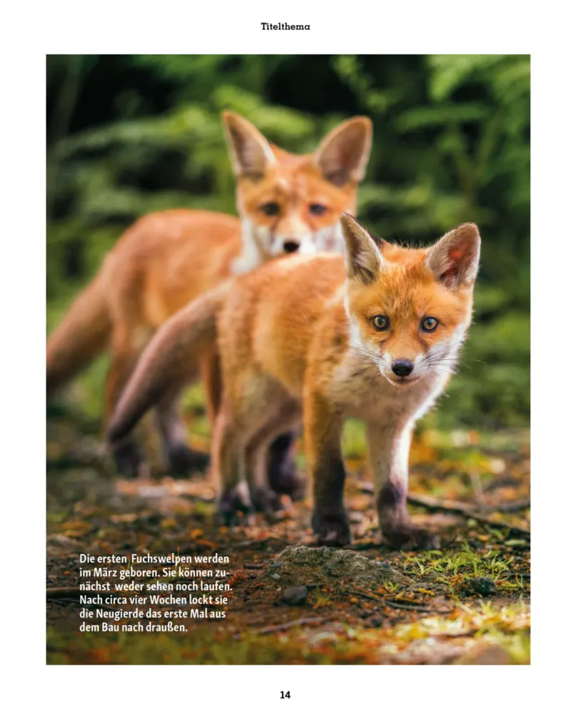 Fressnapf Prospekt vom 01.03.2026, Seite 14