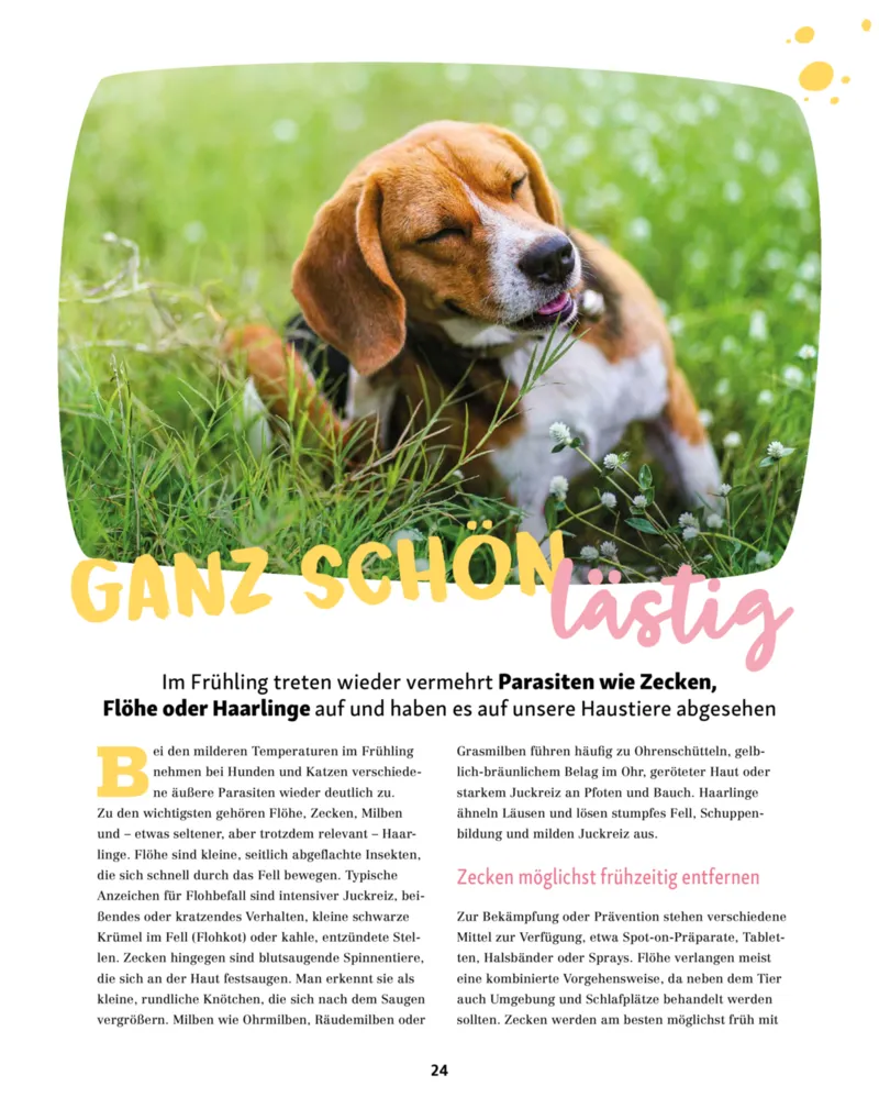 Fressnapf Prospekt vom 01.03.2026, Seite 24