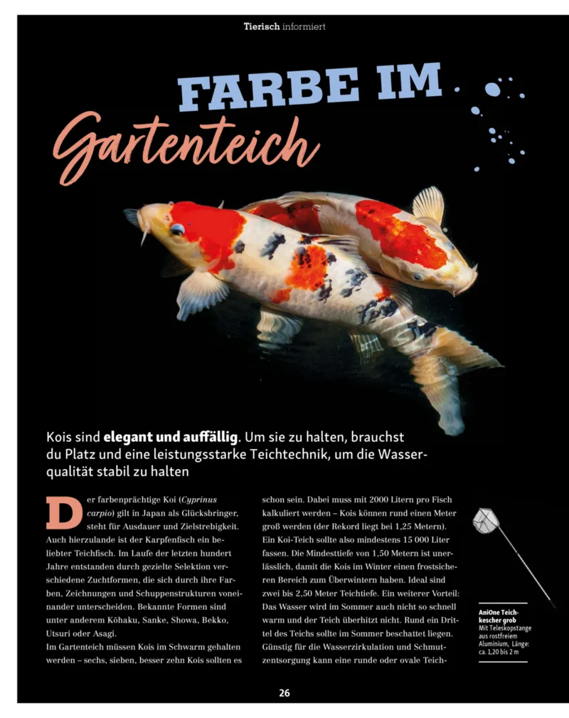 Fressnapf Prospekt vom 01.03.2026, Seite 26