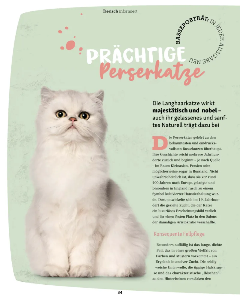 Fressnapf Prospekt vom 01.03.2026, Seite 34