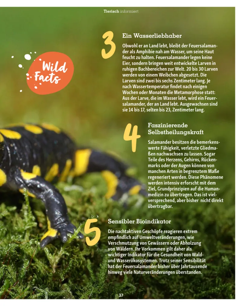 Fressnapf Prospekt vom 01.03.2026, Seite 37