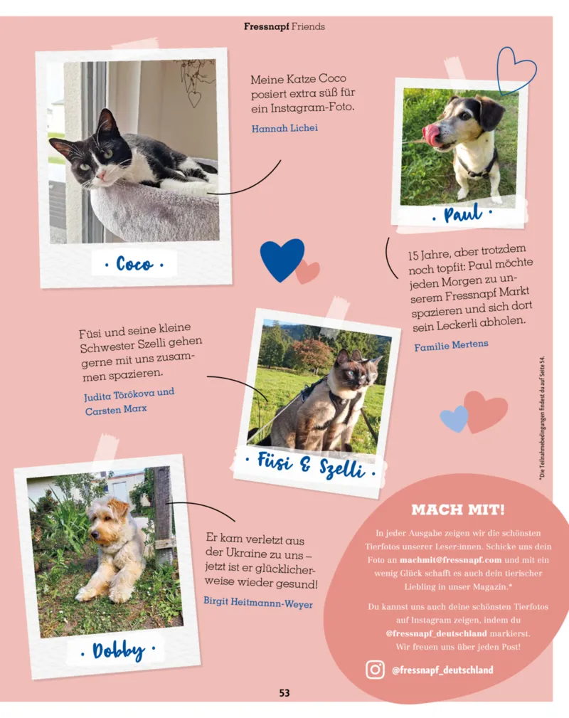 Fressnapf Prospekt vom 01.03.2026, Seite 53