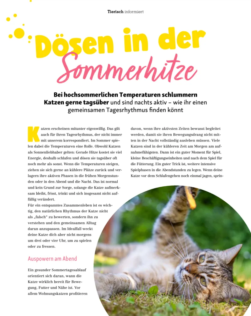 Fressnapf Prospekt vom 01.07.2026, Seite 28