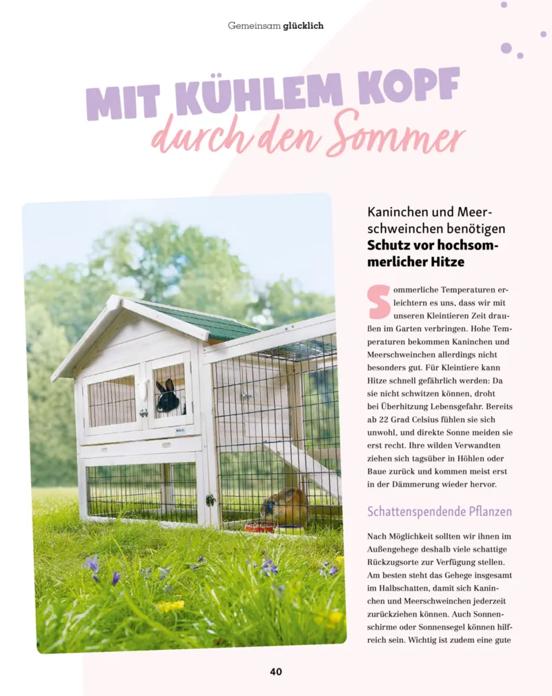 Fressnapf Prospekt vom 01.07.2026, Seite 40