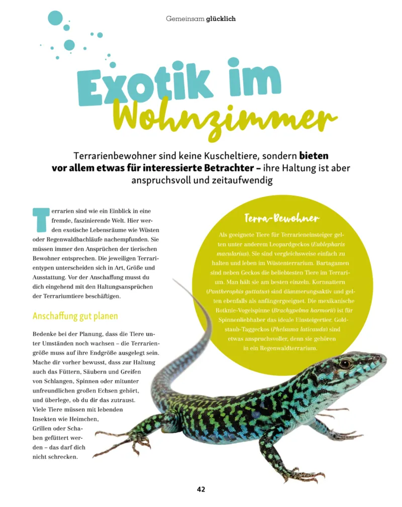 Fressnapf Prospekt vom 01.07.2026, Seite 42