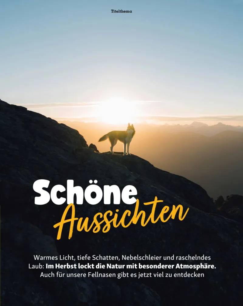 Fressnapf Prospekt vom 01.09.2026, Seite 11