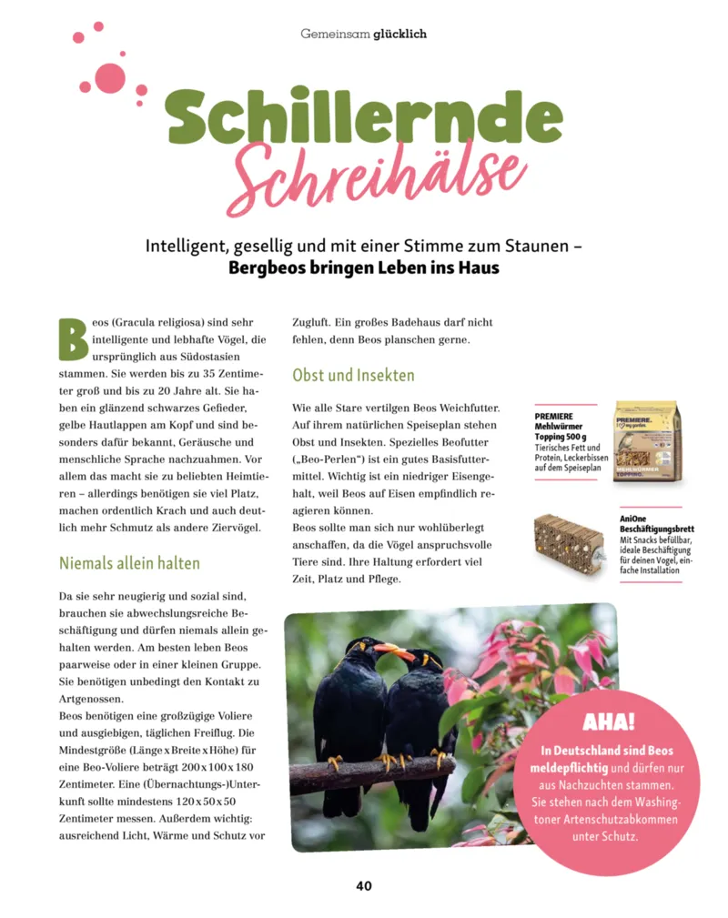 Fressnapf Prospekt vom 01.09.2026, Seite 40
