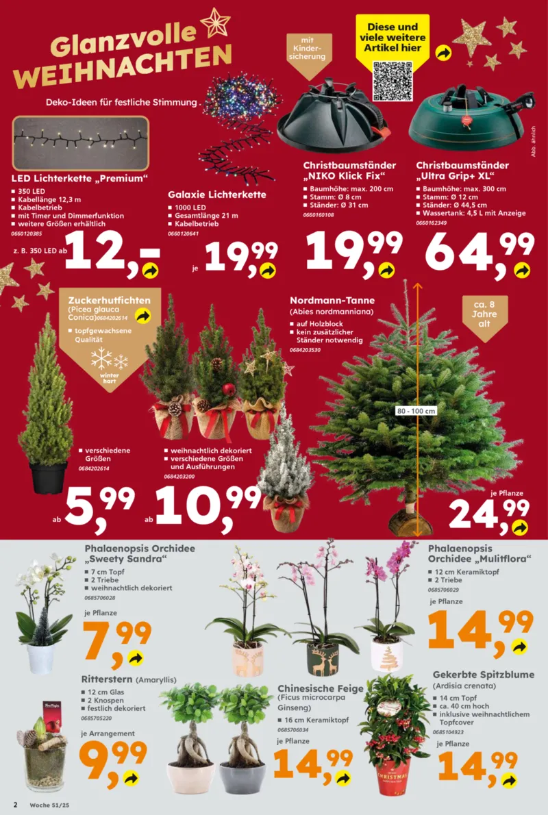 Globus Baumarkt Prospekt vom 15.12.2025, Seite 2