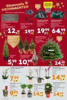 Globus Baumarkt Prospekt vom 15.12.2025