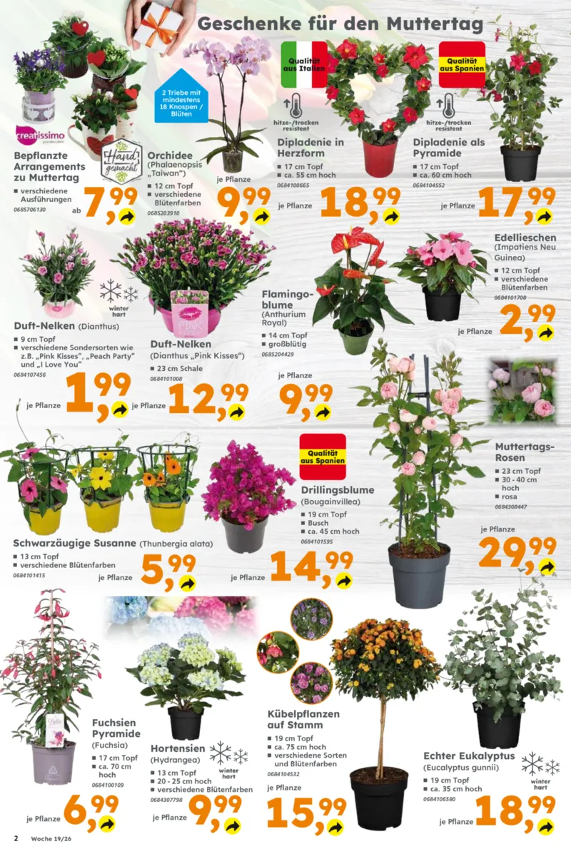 Globus Baumarkt Prospekt vom 04.05.2026, Seite 2