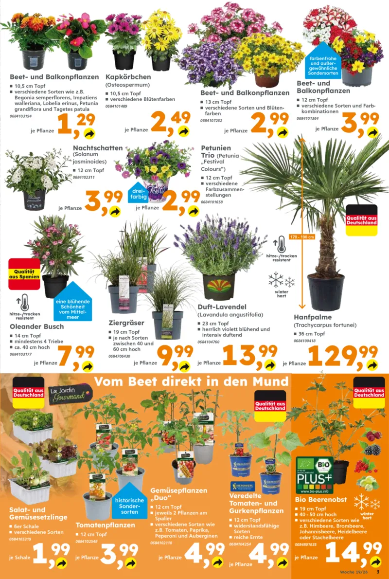 Globus Baumarkt Prospekt vom 04.05.2026, Seite 3