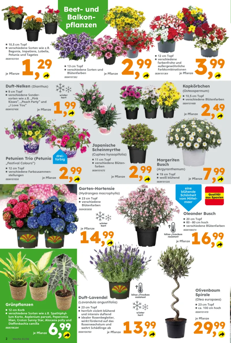 Globus Baumarkt Prospekt vom 18.05.2026, Seite 2