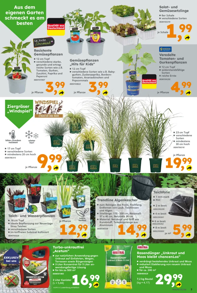 Globus Baumarkt Prospekt vom 18.05.2026, Seite 3