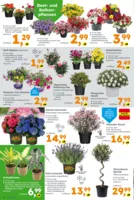 Globus Baumarkt Prospekt vom 18.05.2026
