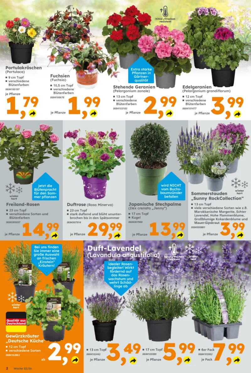 Globus Baumarkt Prospekt vom 26.05.2026, Seite 2