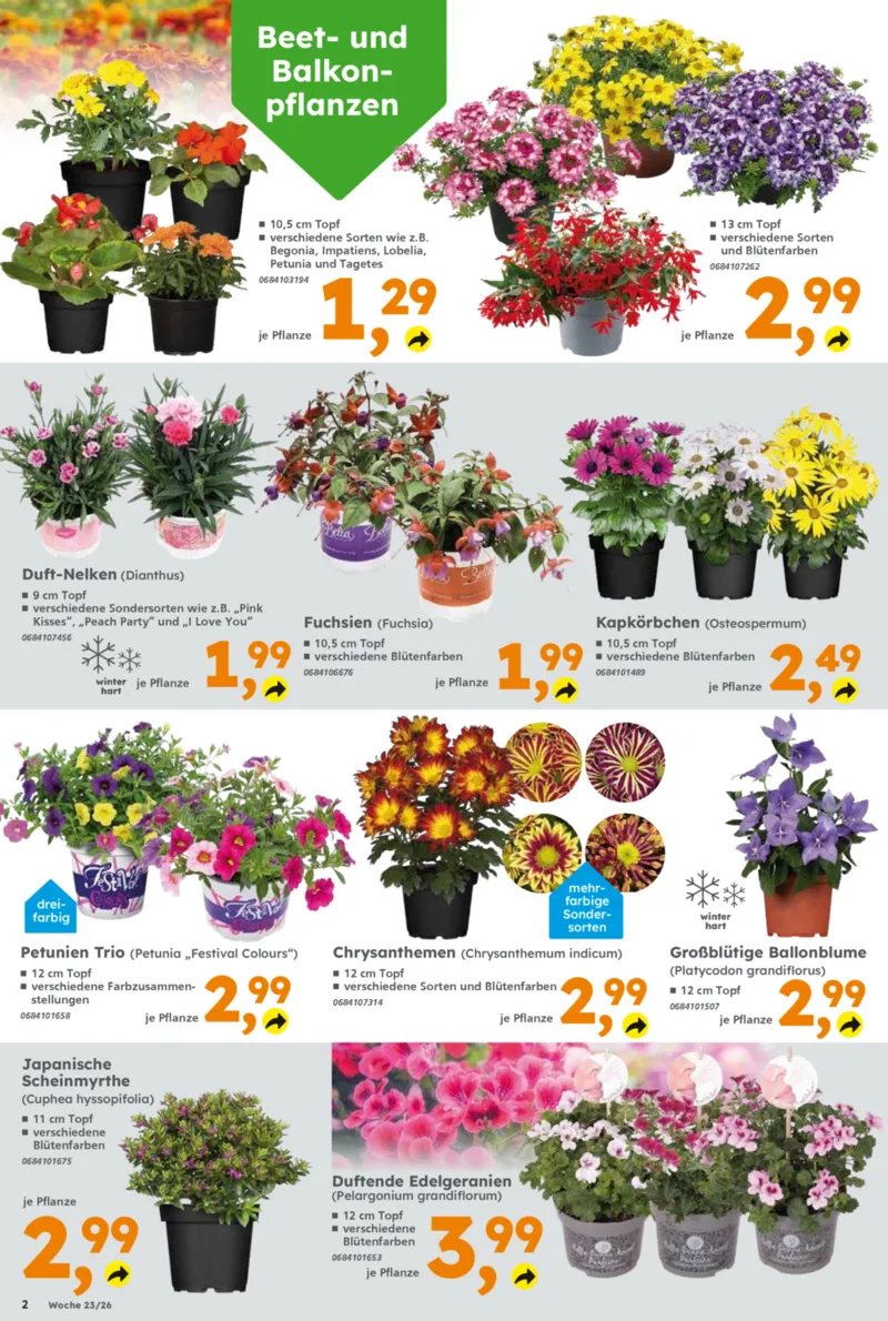 Globus Baumarkt Prospekt vom 01.06.2026, Seite 2