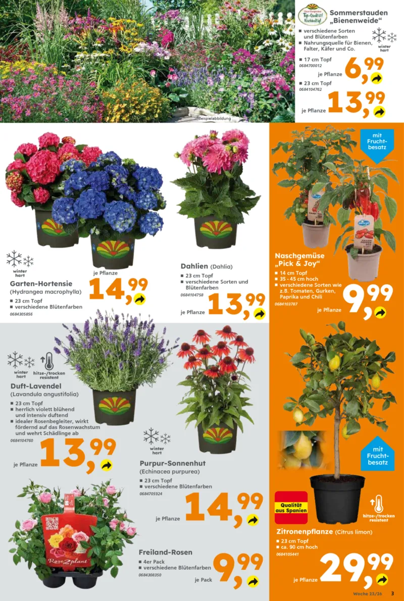 Globus Baumarkt Prospekt vom 01.06.2026, Seite 3