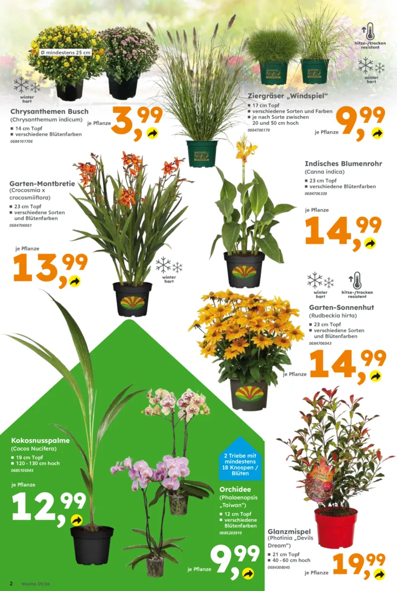 Globus Baumarkt Prospekt vom 13.07.2026, Seite 2