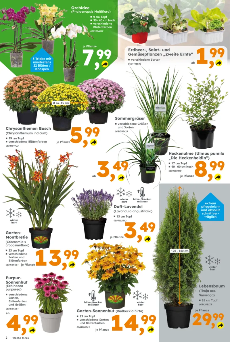 Globus Baumarkt Prospekt vom 27.07.2026, Seite 2