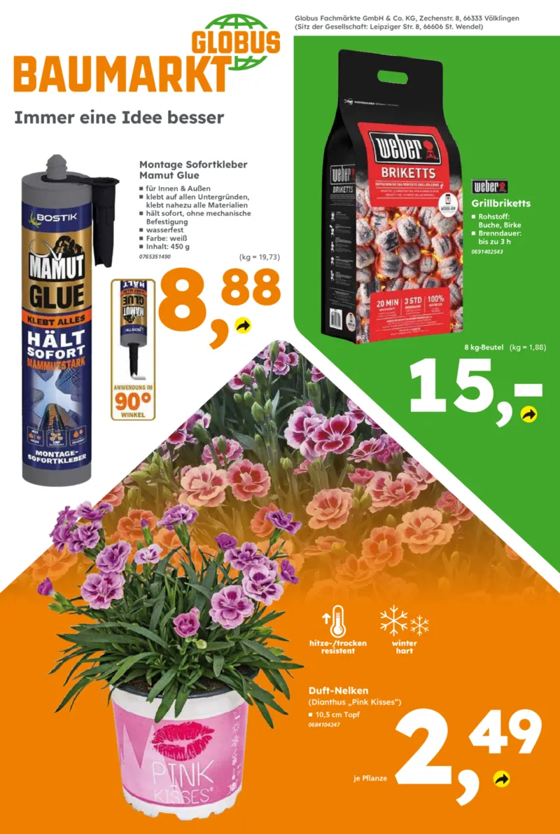 Globus Baumarkt Prospekt vom 17.08.2026, Seite 8