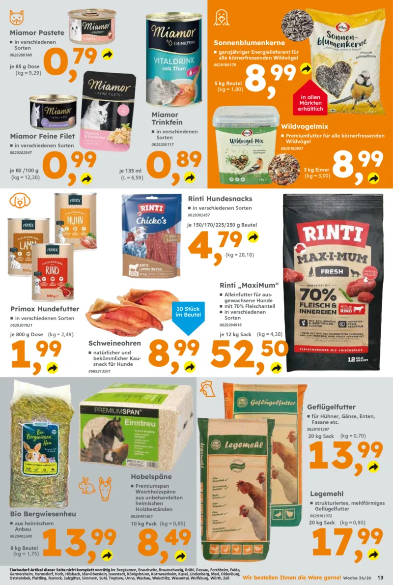 Globus Baumarkt Prospekt vom 31.08.2026, Seite 13