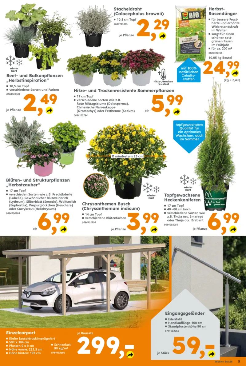 Globus Baumarkt Prospekt vom 31.08.2026, Seite 5