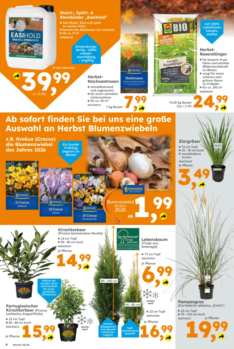 Globus Baumarkt Prospekt vom 14.09.2026, Seite 4
