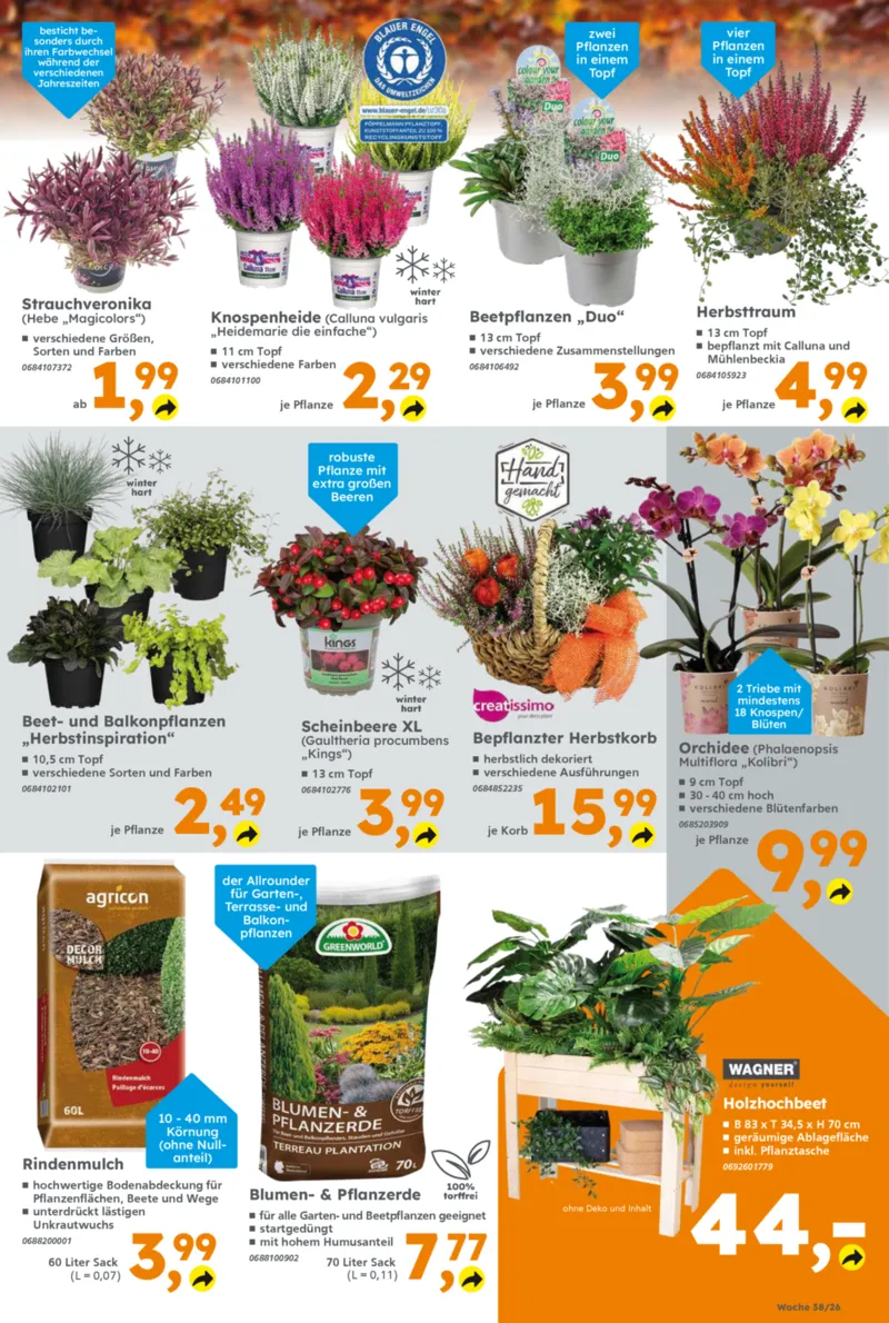 Globus Baumarkt Prospekt vom 14.09.2026, Seite 5