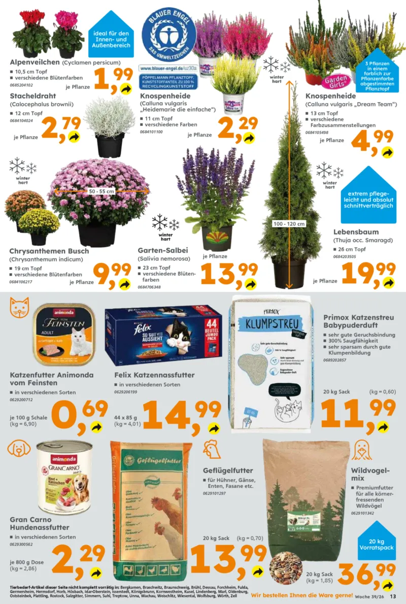 Globus Baumarkt Prospekt vom 21.09.2026, Seite 13