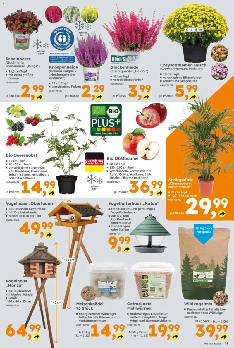 Globus Baumarkt Prospekt vom 12.10.2026, Seite 11