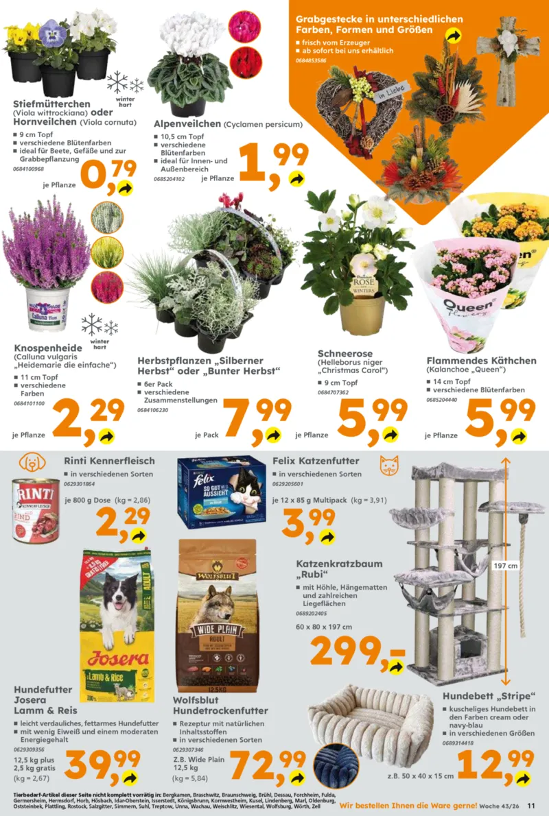 Globus Baumarkt Prospekt vom 19.10.2026, Seite 11