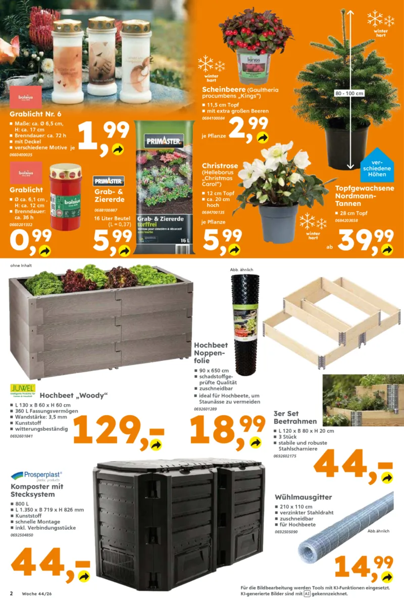 Globus Baumarkt Prospekt vom 26.10.2026, Seite 2